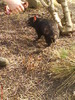 zoo telefon 095