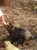 zoo telefon 096