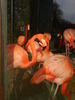 zoo telefon 098