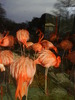 zoo telefon 099
