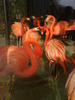 zoo telefon 100