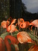 zoo telefon 101