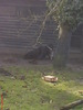 zoo telefon 103