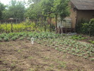 DSC01596