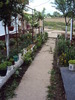 DSC01539
