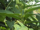 DSC01547