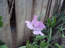 DSC01555
