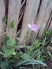 DSC01556