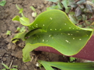 DSC01564