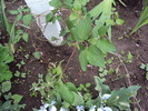 DSC01566