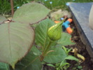 DSC01567