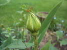 DSC01569