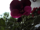 DSC01578