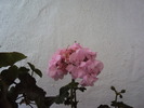 DSC01579