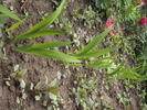 DSC01584