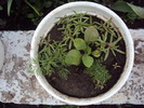 DSC01624
