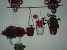 DSC01632