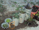 DSC01633