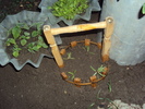 DSC01634