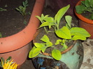 DSC01635