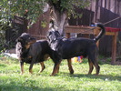 PA073895