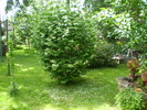 P1010187