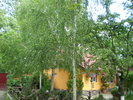 P1010253