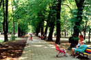 Cluj - Parcul-Mare