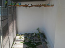 DSC05783