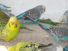 DSC05788