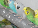 DSC05792