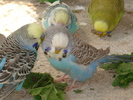DSC05794