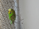 DSC05800