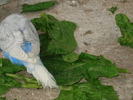 DSC05804