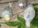 DSC05805