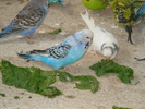 DSC05806