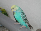 DSC05814