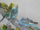 DSC05817