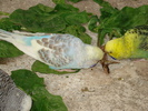 DSC05819