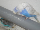 DSC05826