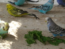 DSC05827