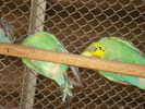 DSC05837