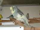 DSC05848