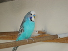 DSC05849