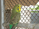 DSC05850
