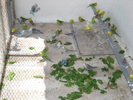 DSC05854