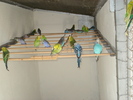 DSC05856