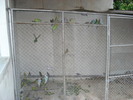 DSC05857