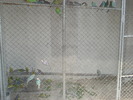 DSC05858