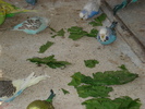 DSC05861